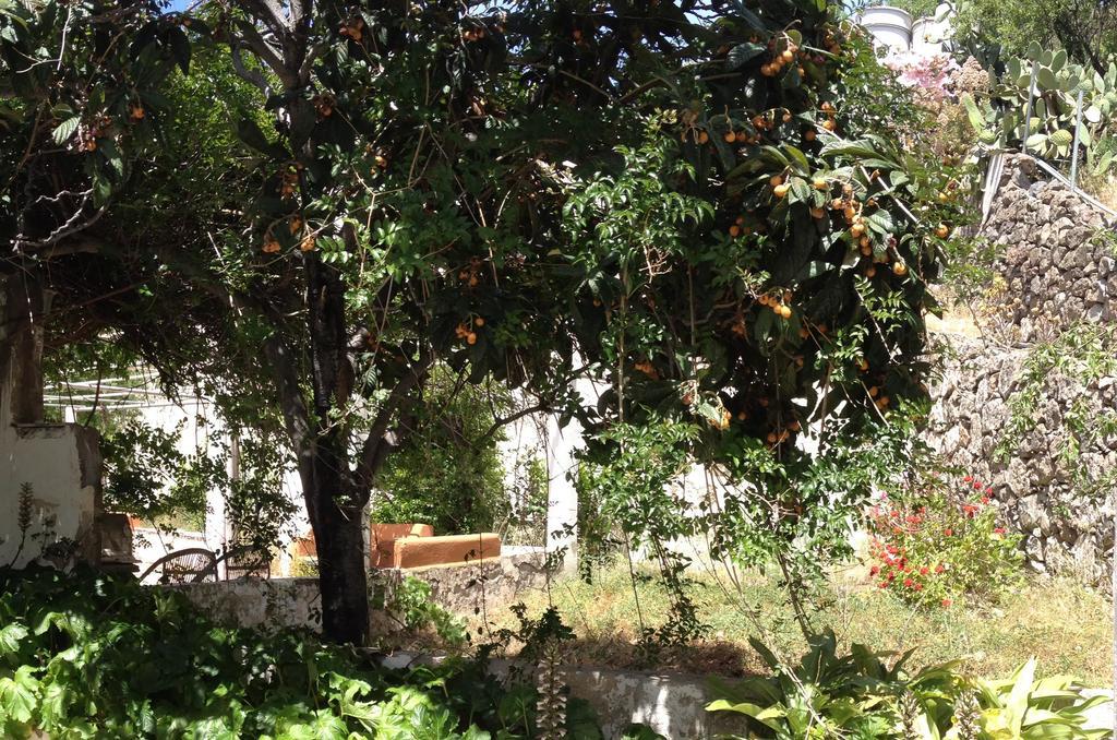 Hostal Casa Del Caminero En Tejeda Exterior foto